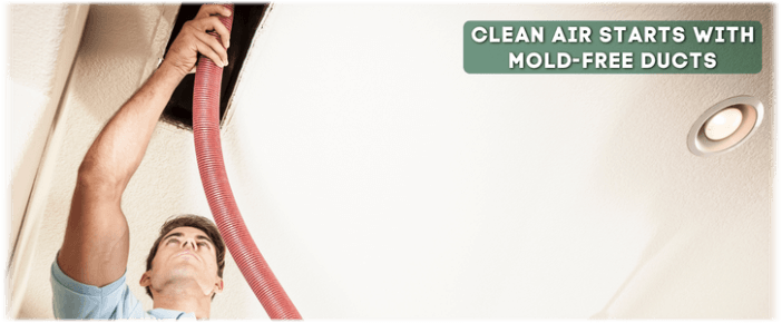 Air Duct Mold Removal in Fort Worth TX