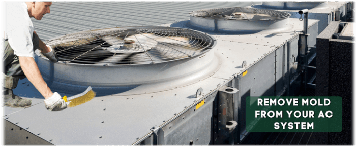HVAC Mold Removal Fort Worth TX